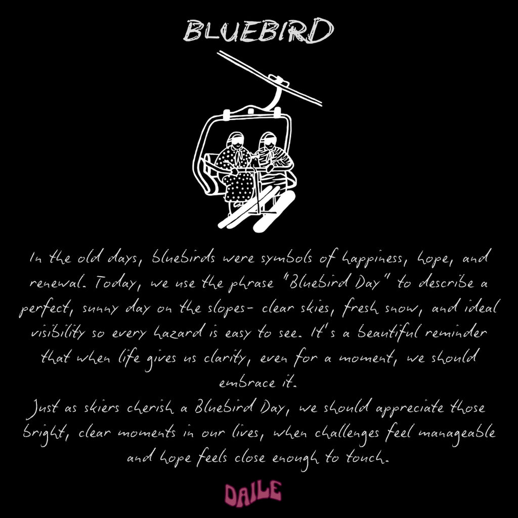 Bluebird Hoodie
