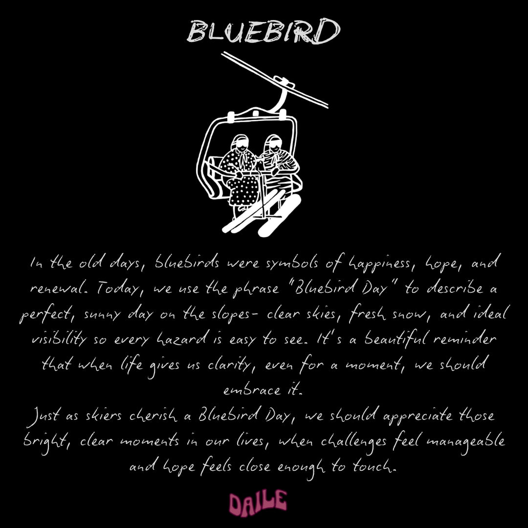 Bluebird Hoodie